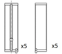 Crankshaft Bearing